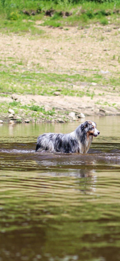 Opal Aussie Ur my heart